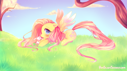 Size: 3645x2048 | Tagged: safe, artist:yamio, angel bunny, fluttershy, g4, blushing, crying, cute, female, floppy ears, high res, prone, shyabetes, solo, spread wings