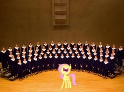 Size: 600x449 | Tagged: safe, artist:hachaosagent, fluttershy, pony, g4, choir, filly, foal, irl, photo, ponies in real life, singing, vector