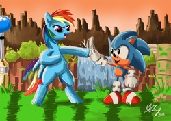 Size: 987x700 | Tagged: safe, artist:projectzuel, rainbow dash, g4, classic sonic, crossover, friendship, male, sonic the hedgehog, sonic the hedgehog (series)