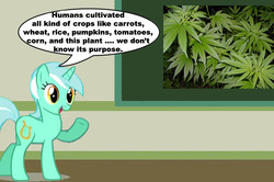 Size: 887x588 | Tagged: safe, lyra heartstrings, g4, chalkboard, human studies101 with lyra, marijuana, meme, photo