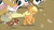 Size: 855x471 | Tagged: safe, screencap, applejack, winona, cow, earth pony, pony, applebuck season, g4, season 1, border collie, ei, female, genocide, hub logo, logo, mare, running, the hub, youtube caption