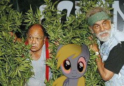 Size: 560x388 | Tagged: safe, derpy hooves, pegasus, pony, g4, cheech and chong, derp, drugs, female, mare, marijuana