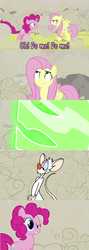 Size: 960x2699 | Tagged: safe, doomie, fluttershy, pinkie pie, changeling, mouse, pony, a canterlot wedding, g4, comic, confused, crossover, disguise, disguised changeling, meme, name pun, pinky (pinky and the brain), pinky and the brain, pun