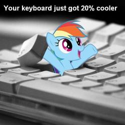 Size: 500x500 | Tagged: safe, edit, rainbow dash, pegasus, pony, g4, 20% cooler, caption, cute, dashabetes, female, i hid in your keyboard, irl, keyboard, mare, photo, solo