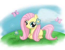 Size: 900x700 | Tagged: safe, artist:speccysy, fluttershy, pony, g4, female, filly, foal, solo