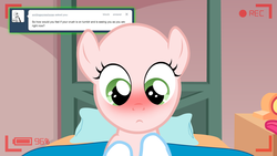 Size: 1280x720 | Tagged: safe, sweetie belle, ask the crusaders, g4, blushing, earth pony sweetie belle, sweetie bald, tumblr