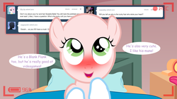 Size: 1280x720 | Tagged: safe, sweetie belle, ask the crusaders, g4, blushing, earth pony sweetie belle, sweetie bald, tumblr