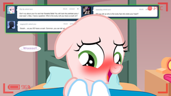 Size: 1280x720 | Tagged: safe, sweetie belle, ask the crusaders, g4, blushing, earth pony sweetie belle, floppy ears, sweetie bald, tumblr