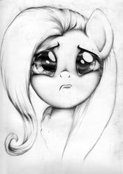 Size: 1280x1815 | Tagged: safe, artist:carlotta-guidicelli, fluttershy, pony, g4, bust, crying, female, frown, grayscale, looking at you, monochrome, pencil drawing, portrait, pouting, sad, solo, traditional art