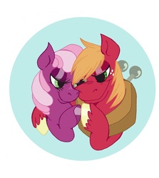 Size: 600x673 | Tagged: safe, artist:s-c-fowlie, big macintosh, cheerilee, earth pony, pony, g4, male, ship:cheerimac, shipping, stallion, straight