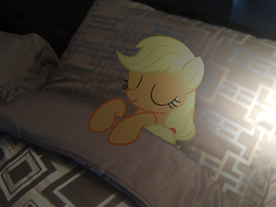 Size: 900x675 | Tagged: dead source, safe, artist:segagenesis4100, applejack, earth pony, pony, g4, bed, female, hatless, missing accessory, ponies in real life, sleeping, solo, vector