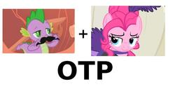 Size: 1024x563 | Tagged: safe, pinkie pie, spike, g4, clothes, dress, exploitable meme, female, male, meta, moustache, otp, ship:pinkiespike, shipping, straight