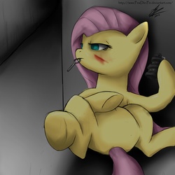 Size: 2000x2000 | Tagged: safe, artist:vanefox, fluttershy, pony, g4, featureless crotch, grenade, high res, injured, key, scar, solo