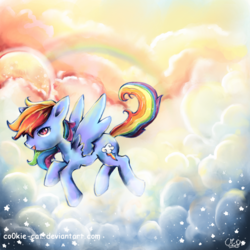 Size: 830x830 | Tagged: safe, artist:co0kie-cat, rainbow dash, pony, g4, female, solo