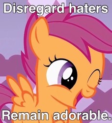 Size: 457x502 | Tagged: safe, scootaloo, pony, g4, cute, cutealoo, disregard haters, female, happy, image macro, meme, open mouth, smiling, solo, wink