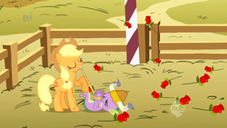 Size: 1920x1080 | Tagged: safe, screencap, applejack, spike, dragon, earth pony, pony, fall weather friends, g4, season 1, duo, duo male and female, eyes closed, female, hogtied, male, mare, mouth hold, rope, spike is not amused, spikesub, tied up, unamused, wingless spike