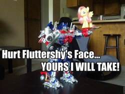 Size: 900x675 | Tagged: safe, artist:autoknight01, fluttershy, pony, g4, brushable, give me your face, irl, optimus prime, photo, toy, transformers