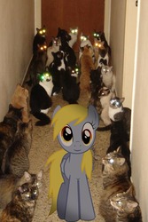Size: 468x700 | Tagged: safe, edit, derpy hooves, cat, pegasus, pony, g4, female, mare