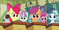 Size: 623x317 | Tagged: safe, screencap, apple bloom, ruby pinch, scootaloo, shady daze, sweetie belle, truffle shuffle, earth pony, pegasus, pony, unicorn, g4, ponyville confidential, season 2, animated, apple bloom's bow, blinking, bow, colt, curtains, cutie mark crusaders, desk, female, filly, foal, gif, hair bow, horn, indoors, looking at you, loop, male, perfect loop, ponyville schoolhouse, reaction image, school desk, window