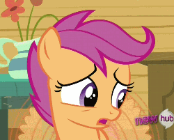 Size: 502x405 | Tagged: safe, screencap, scootaloo, pony, g4, ponyville confidential, animated, cropped, female, flapping, hub logo, loop, solo, talking
