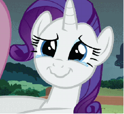 Size: 442x405 | Tagged: safe, screencap, rarity, pony, g4, putting your hoof down, animated, cropped, female, offscreen character, solo focus, teary eyes, wavy mouth