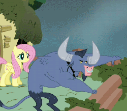 Size: 476x416 | Tagged: safe, screencap, fluttershy, iron will, minotaur, pegasus, pony, g4, putting your hoof down, animated, female, invisible mare, male, mare, out of context