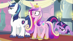 Size: 1366x768 | Tagged: safe, edit, edited screencap, screencap, princess cadance, shining armor, twilight sparkle, alicorn, pony, unicorn, a canterlot wedding, g4, butt, caption, female, floppy ears, frown, gritted teeth, male, mare, plot, stallion, standing, surprised, wide eyes, youtube caption, youtube link
