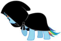 Size: 4000x2703 | Tagged: artist needed, source needed, safe, rainbow dash, g4, cloak, clothes, female