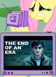 Size: 498x685 | Tagged: safe, fluttershy, pony, g4, crying, daniel radcliffe, exploitable meme, fluttercry, harry potter, meme, sad, tv meme