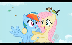Size: 1024x640 | Tagged: safe, screencap, fluttershy, rainbow dash, g4, may the best pet win, female, youtube caption