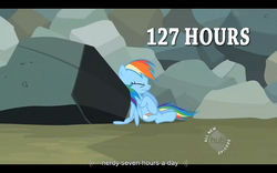 Size: 1024x640 | Tagged: safe, screencap, rainbow dash, pony, g4, may the best pet win, female, youtube caption
