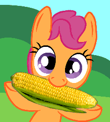 Size: 450x500 | Tagged: safe, artist:tempestoftwilight, scootaloo, pony, g4, animated, corn, cute, cutealoo, day, female, herbivore, looking at you, nibbling, nom, solo