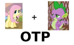 Size: 812x500 | Tagged: safe, fluttershy, spike, pony, g4, exploitable meme, female, male, meme, otp, ship:flutterspike, shipping, simple background, straight, vector, white background