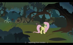 Size: 1680x1050 | Tagged: safe, screencap, fluttershy, g4, my little pony: friendship is magic, stare master, everfree forest, london, youtube caption