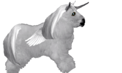 Size: 586x353 | Tagged: safe, edit, editor:jar 53d3, alicorn, fluffy pony, pony, gray body, gray coat, gray fur, gray mane, gray tail, grey body, grey fur, grey hair, grey pony, grey tail, realistic, solo, template