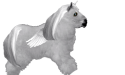 Size: 586x353 | Tagged: safe, edit, editor:jar 53d3, fluffy pony, pegasus, pony, gray body, gray coat, gray fur, gray mane, gray tail, grey body, grey fur, grey hair, grey pony, grey tail, realistic, solo, template