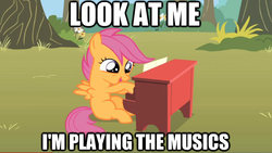 Size: 623x351 | Tagged: safe, scootaloo, pony, g4, the show stoppers, image macro, musical instrument, piano, solo