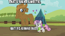 Size: 640x360 | Tagged: safe, edit, edited screencap, screencap, rarity, sweetie belle, pony, unicorn, g4, season 2, sisterhooves social, animated, belle sisters, caption, covered in mud, female, filly, haters gonna hate, mare, mud, muddy, siblings, sisters, text