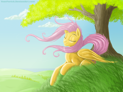 Size: 1335x1000 | Tagged: safe, artist:pooryorick, fluttershy, pony, g4, enjoying, eyes closed, female, folded wings, prone, solo, tree, under the tree, windswept mane