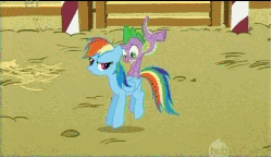 Size: 493x286 | Tagged: safe, screencap, rainbow dash, spike, dragon, pegasus, pony, fall weather friends, g4, animated, bucking, cropped, dragons riding ponies, duo, female, loop, male, mare, riding, spike riding rainbow dash