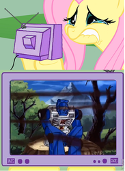 Size: 441x601 | Tagged: safe, fluttershy, pony, g4, beachcomber (transformers), exploitable meme, fluttercry, meme, transformers, tv meme