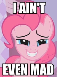 Size: 544x732 | Tagged: safe, edit, edited screencap, screencap, pinkie pie, earth pony, pony, g4, female, image macro, mare, solo