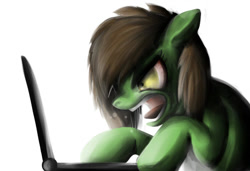 Size: 797x546 | Tagged: safe, artist:twodeepony, oc, oc only, pony, angry, computer, laptop computer, solo