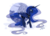 Size: 1300x939 | Tagged: safe, artist:probablyfakeblonde, princess luna, pony, g4, female, raised hoof, simple background, solo, transparent background