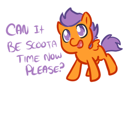 Size: 450x450 | Tagged: safe, artist:mt, scootaloo, pony, g4, female, solo