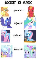 Size: 670x1079 | Tagged: safe, aloe, applejack, big macintosh, cloud kicker, cloudchaser, dizzy twister, flitter, lotus blossom, orange swirl, princess celestia, princess luna, alicorn, earth pony, pegasus, pony, g4, applecest, female, incest, lesbian, male, mare, s1 luna, ship:applemac, ship:pegacest, ship:princest, ship:spacest, shipping, spa twins, straight, twincest