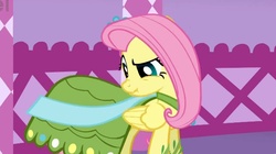 Size: 851x478 | Tagged: safe, screencap, fluttershy, pegasus, pony, g4, my little pony: friendship is magic, suited for success, female, folded wings, indoors, mare, scrunchy face, solo, standing, turned head, wings