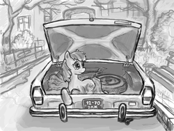 Size: 800x600 | Tagged: safe, artist:agm, oc, oc only, oc:volga pony, earth pony, pony, car, grayscale, monochrome, ponies in real life, russian, solo, volga