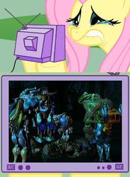 Size: 563x771 | Tagged: safe, fluttershy, pony, g4, beast wars, dinobot, exploitable meme, fluttercry, meme, transformers, tv meme