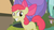 Size: 853x480 | Tagged: safe, screencap, apple bloom, earth pony, pony, g4, female, filly, foal, grin, smiling, solo